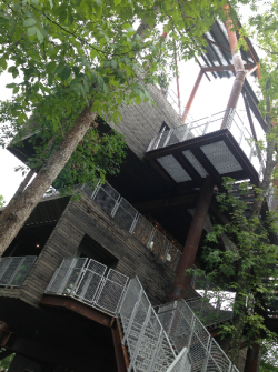 Tree House