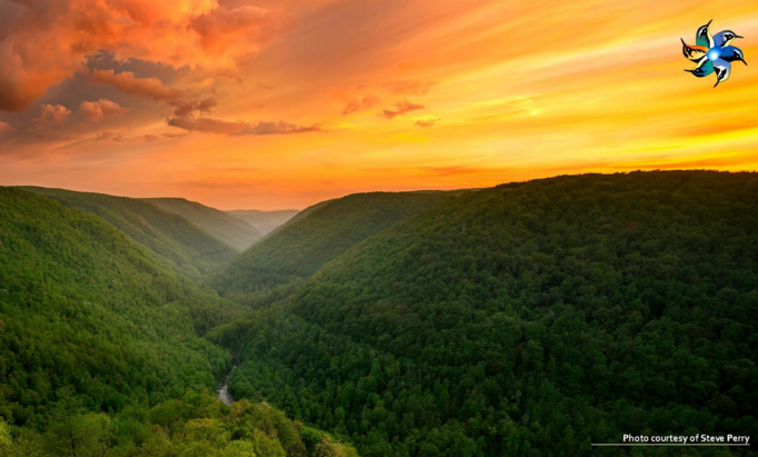 New River Gorge beauty