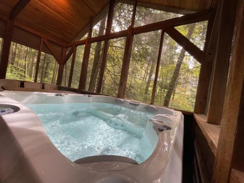 Cabin 1 Hot Tub